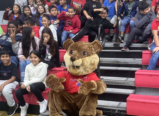 Newsletter - December 2024
