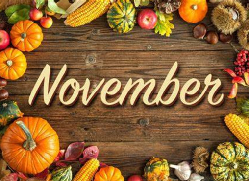 Newsletter - November 2024